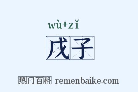 戊子是什么意思的图片